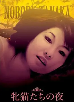 《性感野猫之夜》：释放你的野性，一场关于欲望与诱惑的盛宴