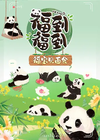《福到福到福宝见面会》：熊猫宝宝萌翻全场，沉浸式体验与福宝的甜蜜互动！